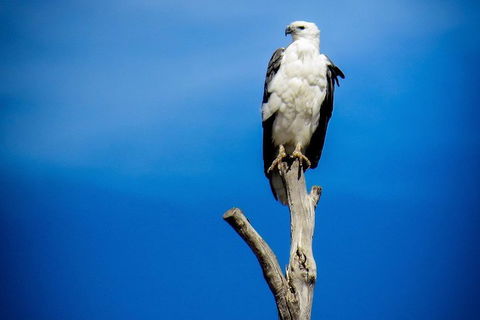 Kangaroo Island 75-Minute Ocean Safari - Phillip Island Accommodation 0