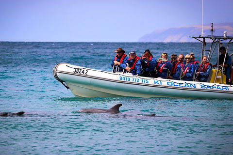 Kangaroo Island 75-Minute Ocean Safari - Phillip Island Accommodation 4