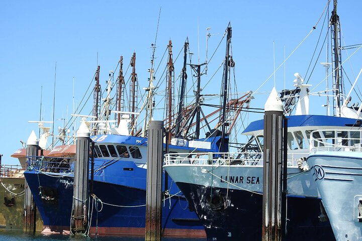 Port Lincoln SA Phillip Island Accommodation