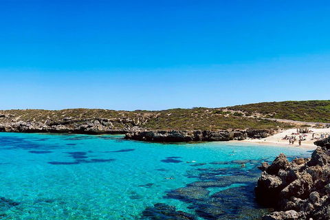 Rottnest Island Roundtrip Fast Ferry From Hillarys Boat Harbour - Phillip Island Accommodation 4