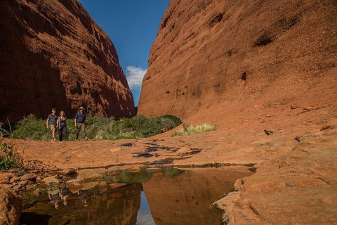 4 Day/3 Night Perentie Dreaming Safari - Phillip Island Accommodation 3