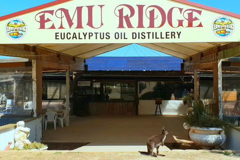 2 Day Ultimate Kangaroo Island With Return Ferry - Phillip Island Accommodation 3