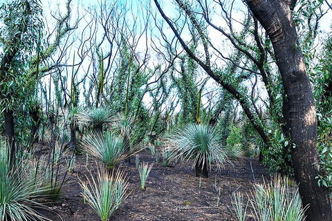 NEW TOUR - Kangaroo Island Road To Recovery Tour (1 Day/1 Night) - Phillip Island Accommodation 3