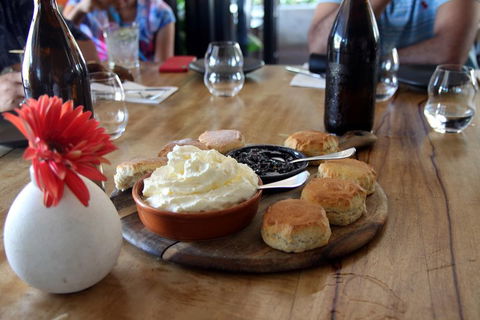 Cairns City Sights And Surrounds Tour - Phillip Island Accommodation 3