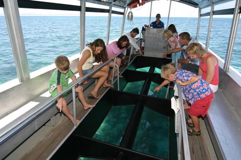 Cairns City Sights And Surrounds Tour - Phillip Island Accommodation 5