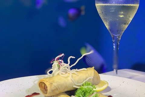 Cairns Aquarium And Small Group City Sightseeing Tour - Phillip Island Accommodation 5