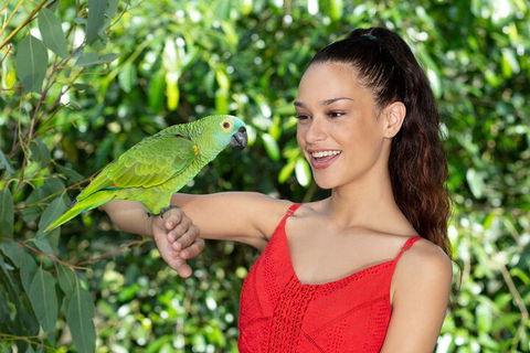 Kuranda Wildlife Experience Three Attraction Pass - Phillip Island Accommodation 1
