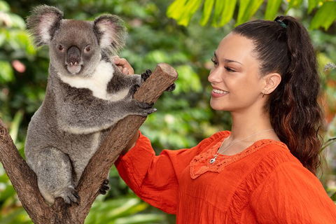 Kuranda Wildlife Experience Three Attraction Pass - Phillip Island Accommodation 4