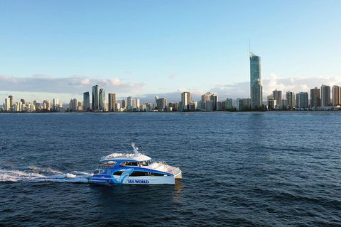 Whale Watching By Sea World Cruises - Phillip Island Accommodation 1