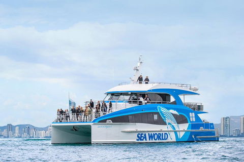 Whale Watching By Sea World Cruises - Phillip Island Accommodation 3