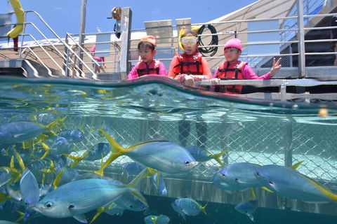 Outer Reef Pontoon Experience From Cairns - Phillip Island Accommodation 0