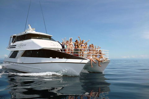 Seastar Luxury Outer Great Barrier Reef Island And Reef Tour From Cairns - Phillip Island Accommodation 4