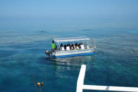 Seastar Luxury Outer Great Barrier Reef Island And Reef Tour From Cairns - Phillip Island Accommodation 5