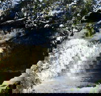 Cradle Mountain Day Tour from Launceston Including Lunch - Phillip Island Accommodation