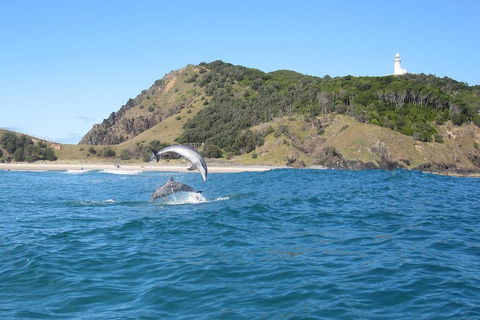 Kayaking With Dolphins In Byron Bay Guided Tour - Phillip Island Accommodation 0