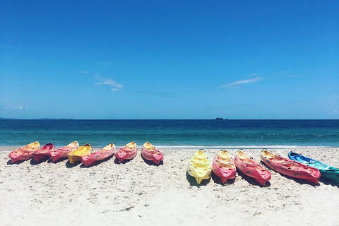 Kayaking With Dolphins In Byron Bay Guided Tour - Phillip Island Accommodation 1