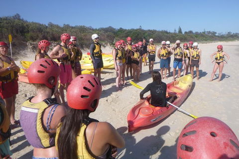 Kayaking With Dolphins In Byron Bay Guided Tour - Phillip Island Accommodation 2
