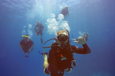 12-Day Great Barrier Reef Marine Conservation Program From Cairns - Phillip Island Accommodation 0