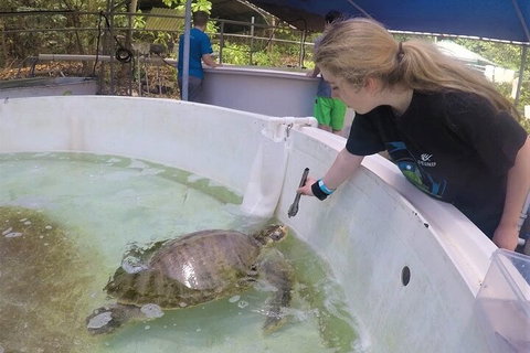 12-Day Great Barrier Reef Marine Conservation Program From Cairns - Phillip Island Accommodation 4