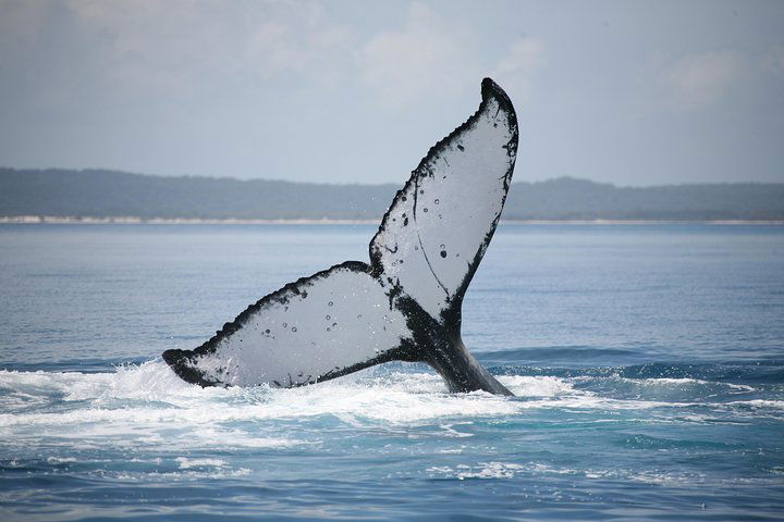 Point Vernon QLD Phillip Island Accommodation