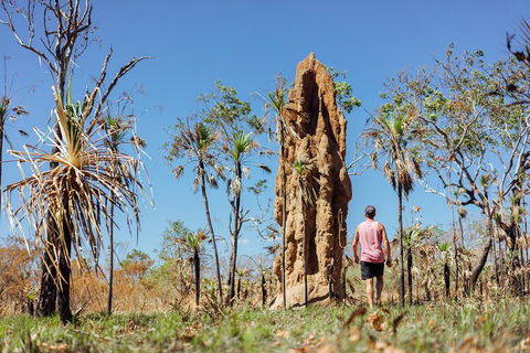 Litchfield National Park Waterfalls And Wildlife Tour From Darwin - Phillip Island Accommodation 4