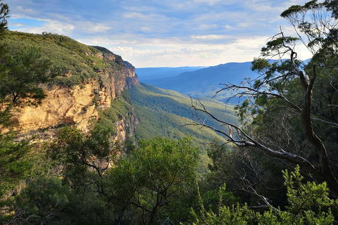 Blue Mountains Day Tour With Wildlife At Sunset From Sydney - Phillip Island Accommodation 5
