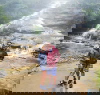 Blue Mountains Day Trip from Sydney with amazing lookouts Private Tour
