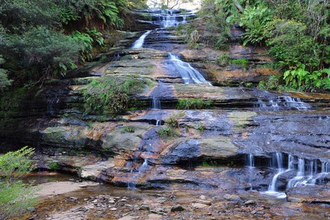 Blue Mountains Day Trip From Sydney With Amazing Lookouts (Private Tour) - Phillip Island Accommodation 4