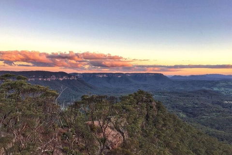 Blue Mountains Sunset Tour | Kangaroos & Koala Encounter (Private Tour) - Phillip Island Accommodation 0