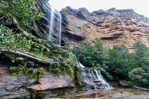 Blue Mountains Sunset Tour | Kangaroos & Koala Encounter (Private Tour) - Phillip Island Accommodation 2