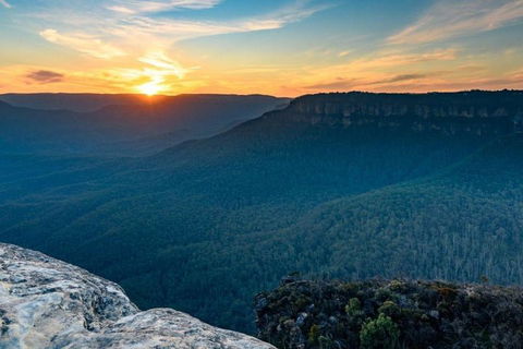 Blue Mountains Sunset Tour | Kangaroos & Koala Encounter (Private Tour) - Phillip Island Accommodation 5