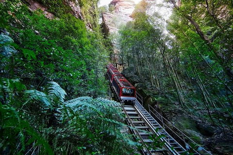 Blue Mountains Private Tour With Kangaroos & Koala Encounter - Phillip Island Accommodation 1
