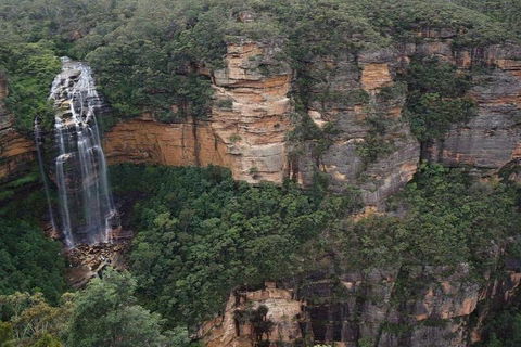 Blue Mountains Private Tour With Kangaroos & Koala Encounter - Phillip Island Accommodation 2