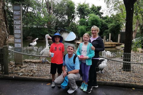 Blue Mountains Private Tour With Kangaroos & Koala Encounter - Phillip Island Accommodation 4