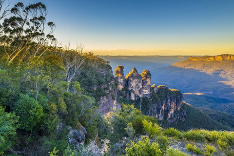 Blue Mountains Private Tour With Kangaroos & Koala Encounter - Phillip Island Accommodation 5