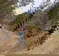 Mount Lofty Descent Bike Tour from Adelaide