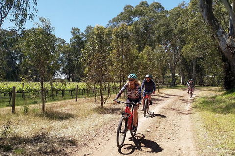 McLaren Vale Wine Tour By Bike - Phillip Island Accommodation 1