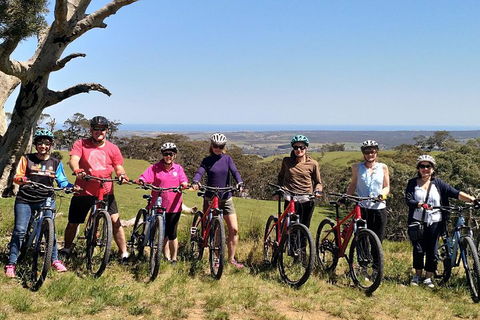 McLaren Vale Wine Tour By Bike - Phillip Island Accommodation 2