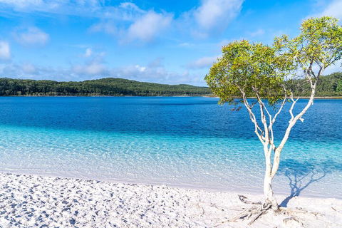 Lake McKenzie Full-Day Tour With Lunch From Hervey Bay - Phillip Island Accommodation 1