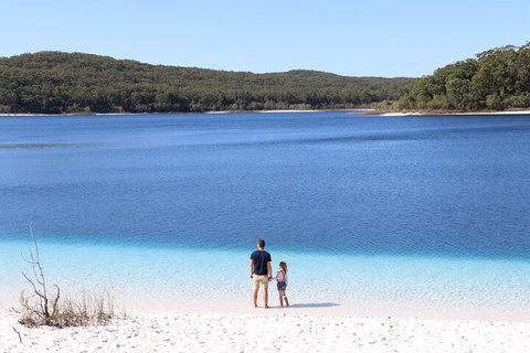 Lake McKenzie Full-Day Tour With Lunch From Hervey Bay - Phillip Island Accommodation 2