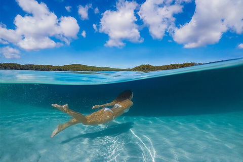 Lake McKenzie Full-Day Tour With Lunch From Hervey Bay - Phillip Island Accommodation 5