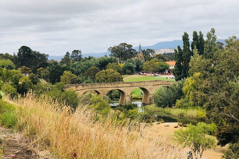 Day Tour In Mt. Field, Mt. Wellington, Bonorong Wildlife Sanctuary And Richmond - Phillip Island Accommodation 3