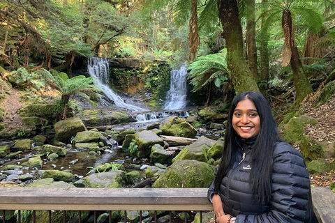 Day Tour In Mt. Field, Mt. Wellington, Bonorong Wildlife Sanctuary And Richmond - Phillip Island Accommodation 5