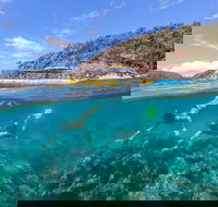Great Barrier Reef Scenic Flight and Ocean Rafting Whitehaven Beach Day Trip