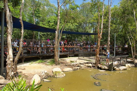 Hartley's Crocodile Adventures Breakfast With The Koalas - Phillip Island Accommodation 1