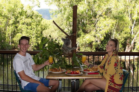 Hartley's Crocodile Adventures Breakfast With The Koalas - Phillip Island Accommodation 5