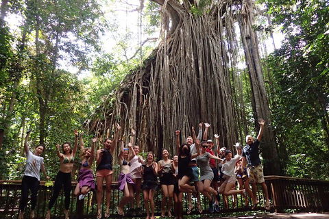 Atherton Tablelands Waterfalls Tour From Cairns - Phillip Island Accommodation 5