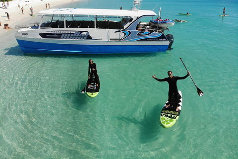 Whitsunday Bullet Day Trip - Whitehaven Beach And Snorkelling - Phillip Island Accommodation 4