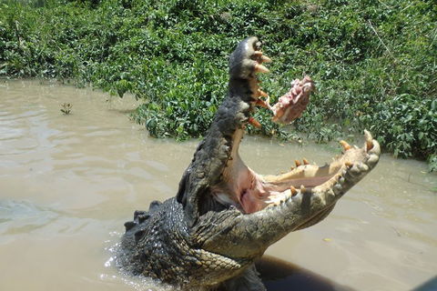 Litchfield And Jumping Crocodiles Full Day Trip From Darwin - Phillip Island Accommodation 3