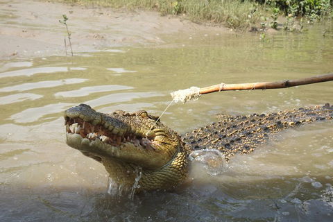 Litchfield And Jumping Crocodiles Full Day Trip From Darwin - Phillip Island Accommodation 4